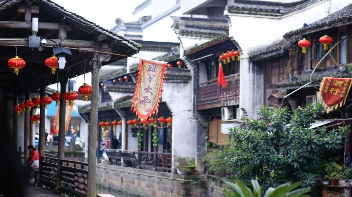 小企鹅逃生